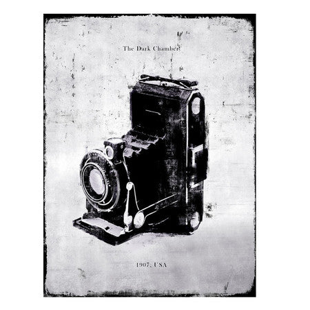 Land Camera Artwork 30"