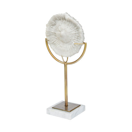 Sandy White Coastal Sand Dollar Object