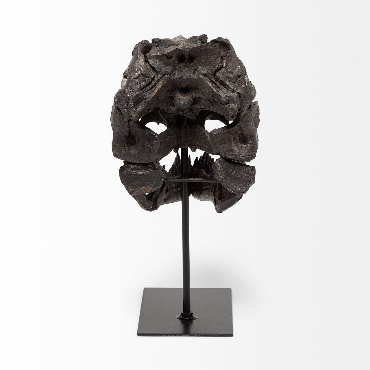 Jurassic 6L x 10W Brown Resin Tyrannosaurus Skull Replica