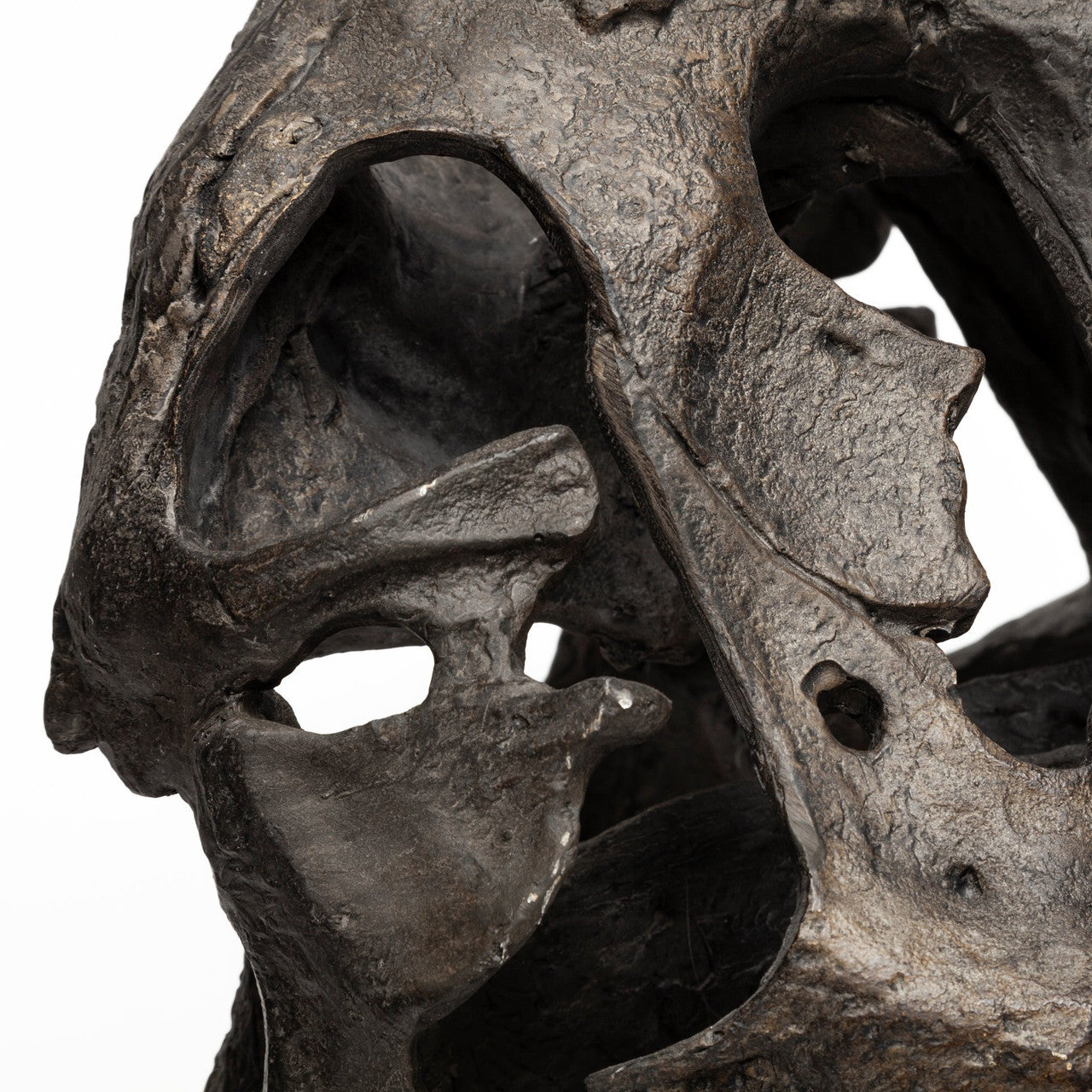 Lagrane 19L x 11W Brown Resin Tyrannosaurus T Rex Dinosaur Skull Replica