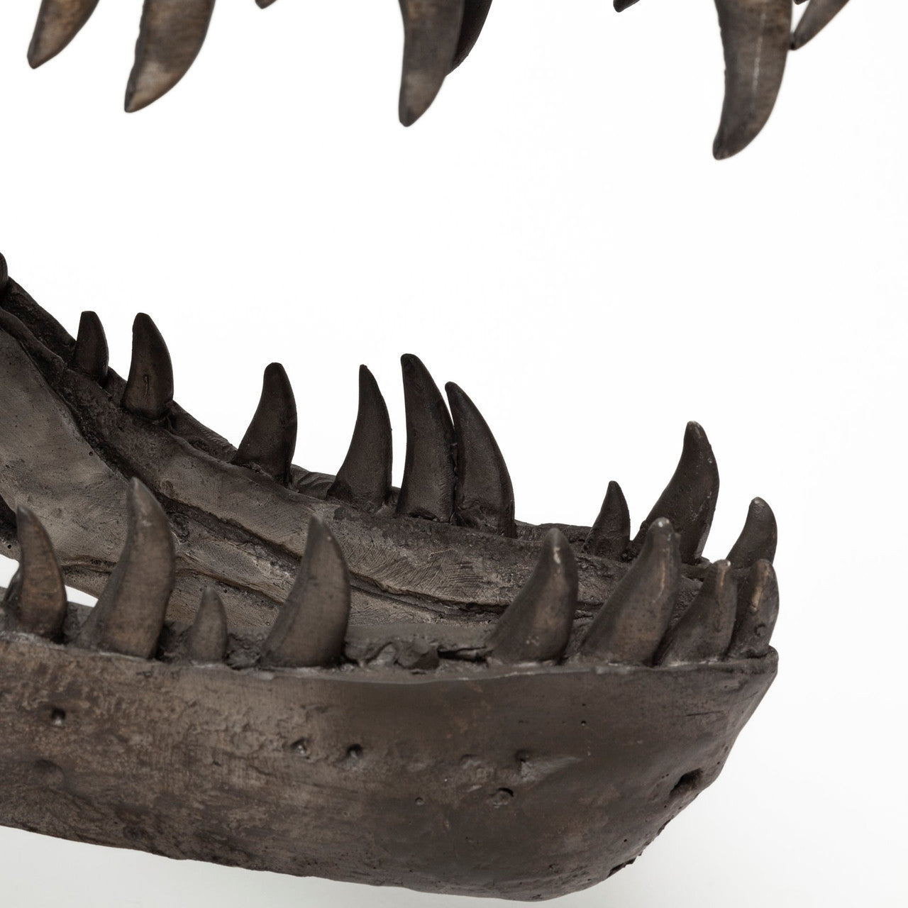 Lagrane 19L x 11W Brown Resin Tyrannosaurus T Rex Dinosaur Skull Replica