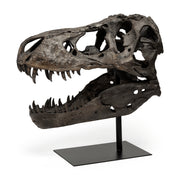 Lagrane 19L x 11W Brown Resin Tyrannosaurus T Rex Dinosaur Skull Replica
