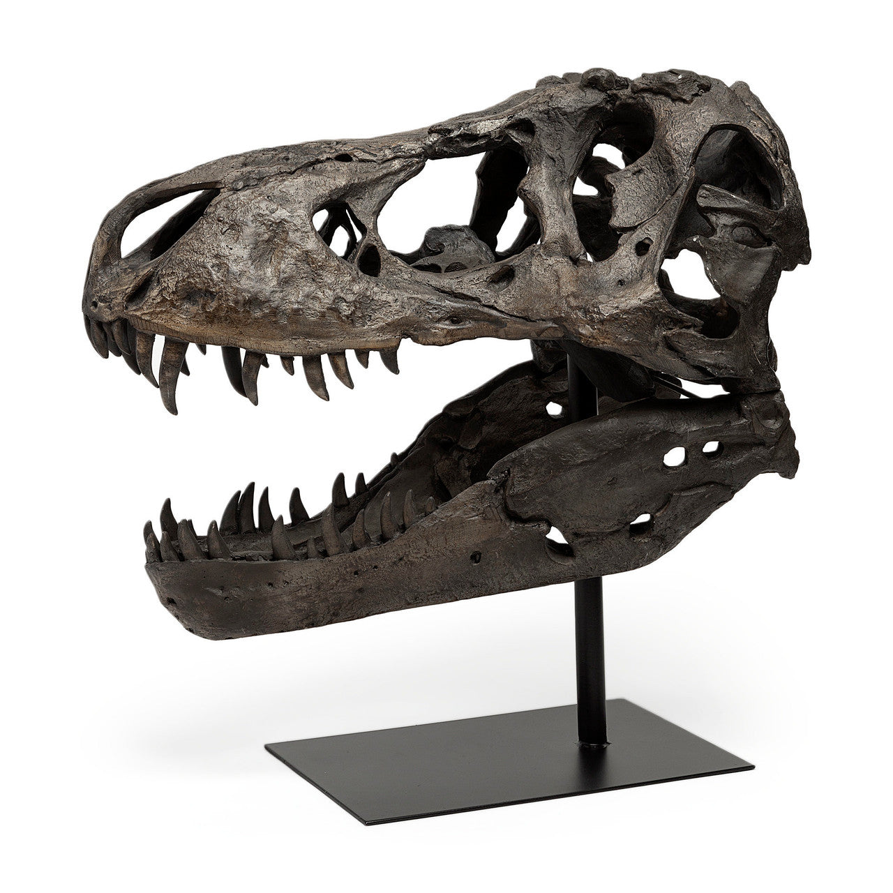 Lagrane 19L x 11W Brown Resin Tyrannosaurus T Rex Dinosaur Skull Replica