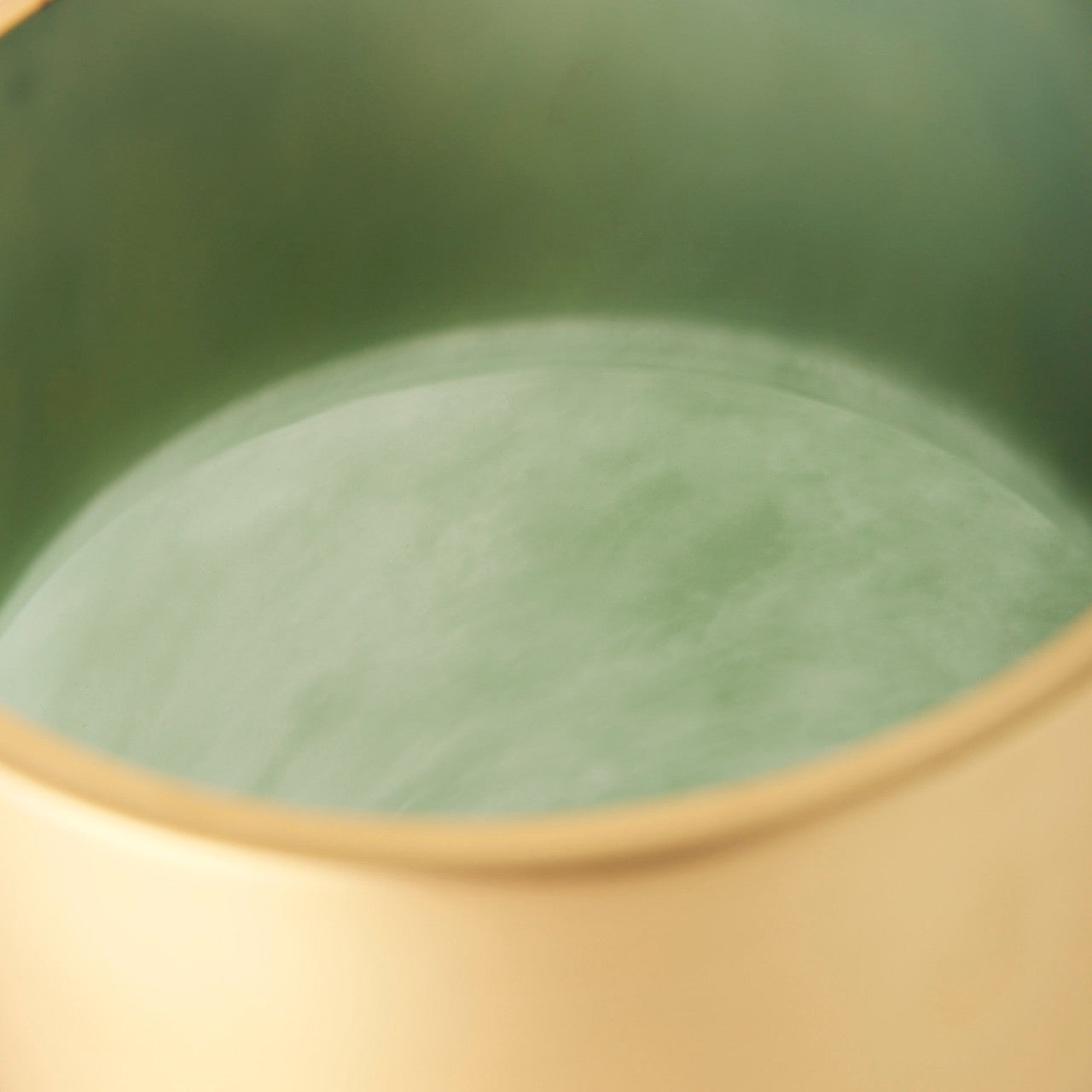Minty Medium 8.7L x 8.7W x 12.4H Green Glass Vase W/Matte Gold Metal Neck Cuff