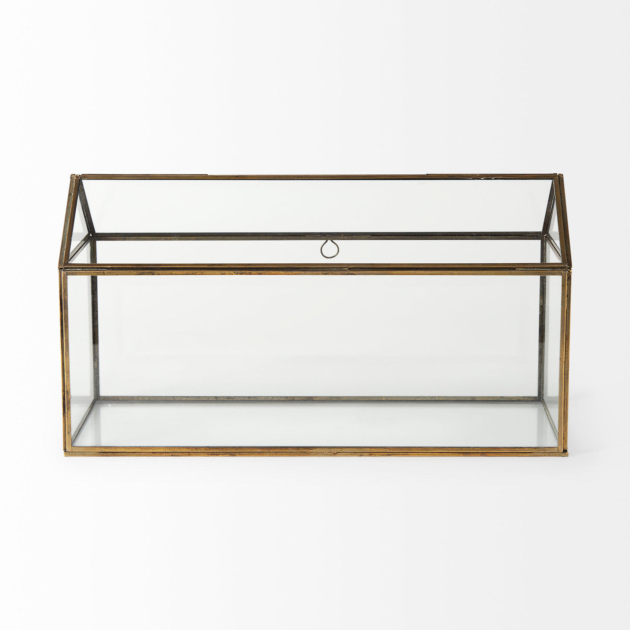 Hutt 16L x 6W x 9H Gold Glass Terrarium Box