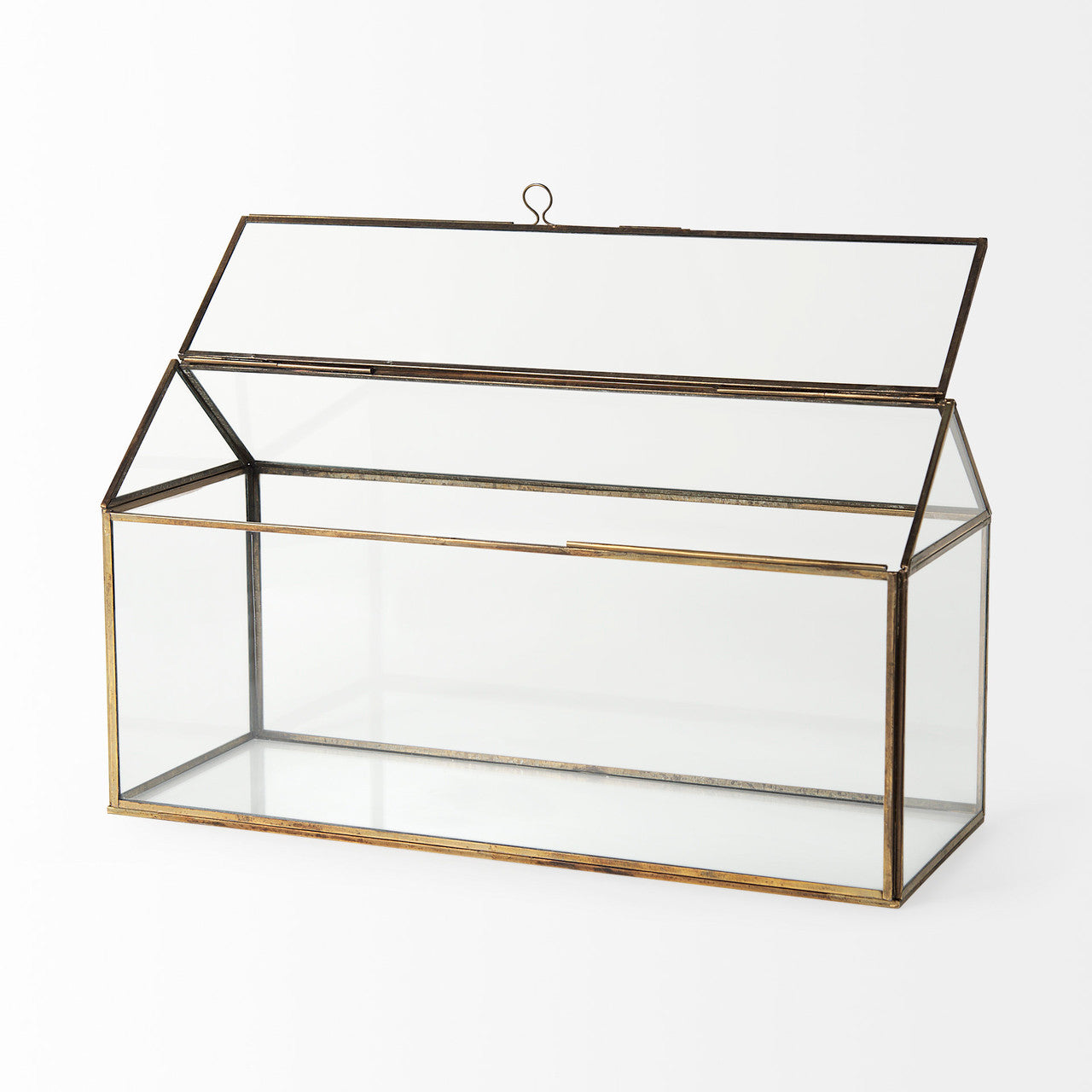 Hutt 16L x 6W x 9H Gold Glass Terrarium Box