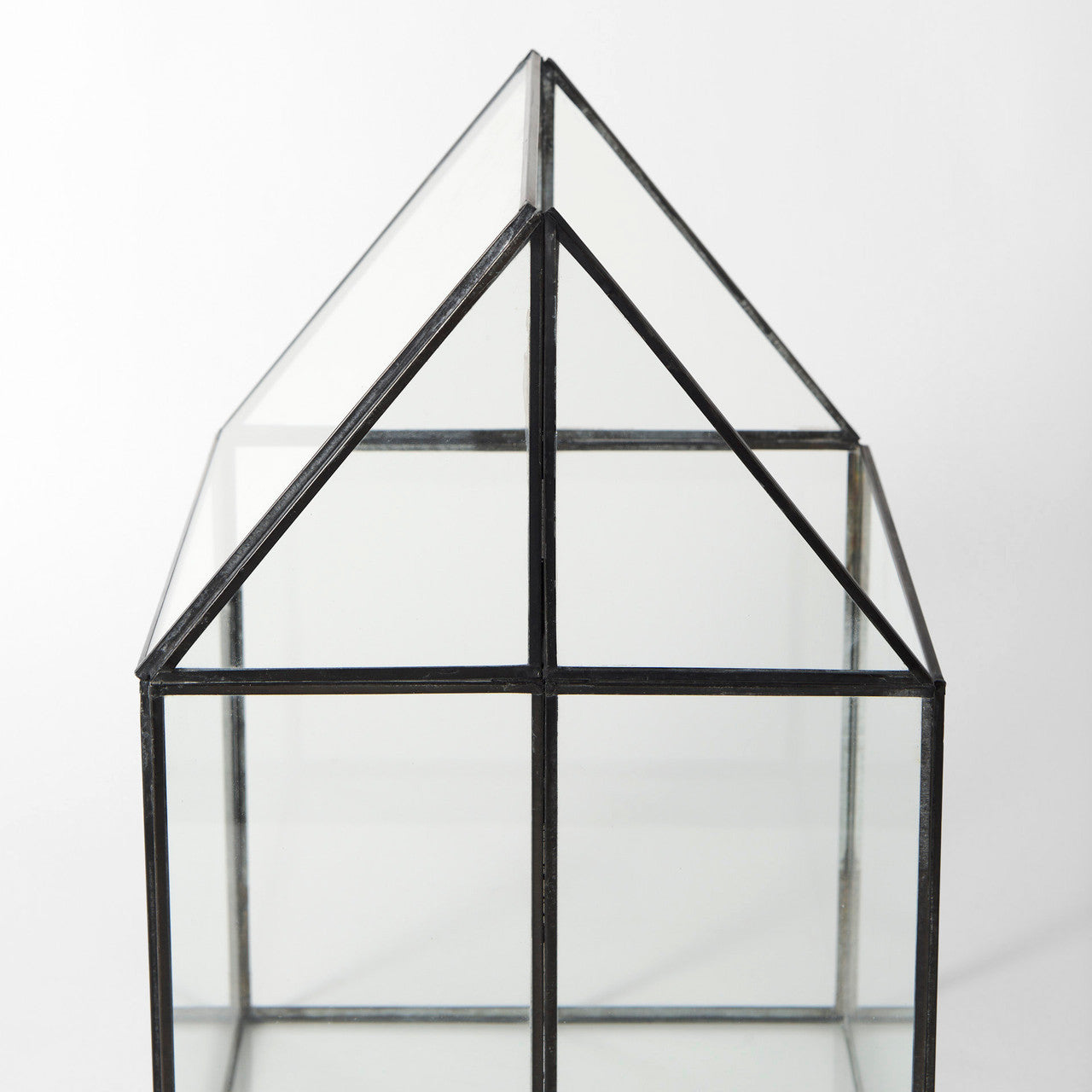 Sikes (Large) 10L x 10W x 16H Hut Terrarium W/Glass Base