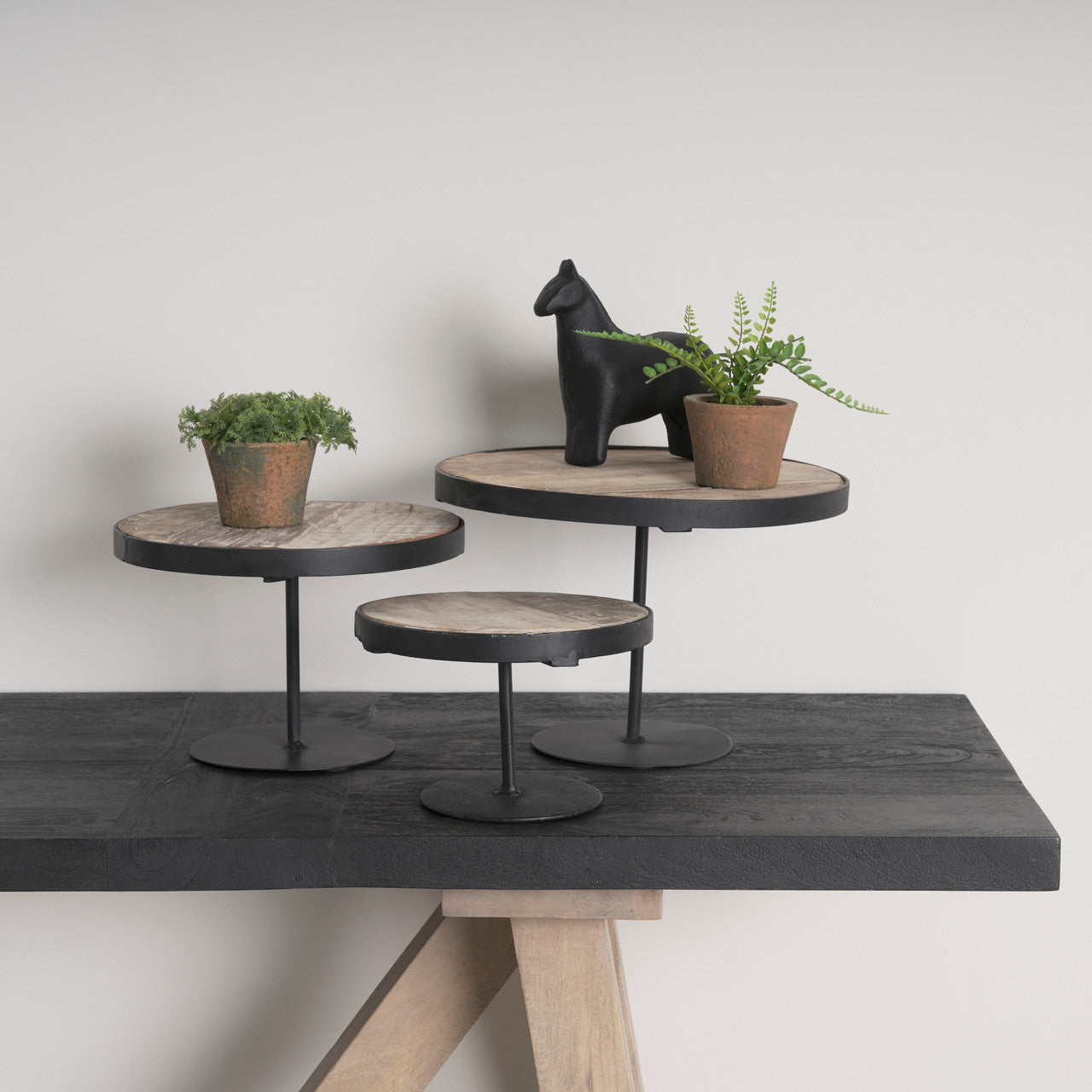 Lorenz (Set of 3) Light Brown Wood W/ Black Metal Base Round Decorative Display Stands