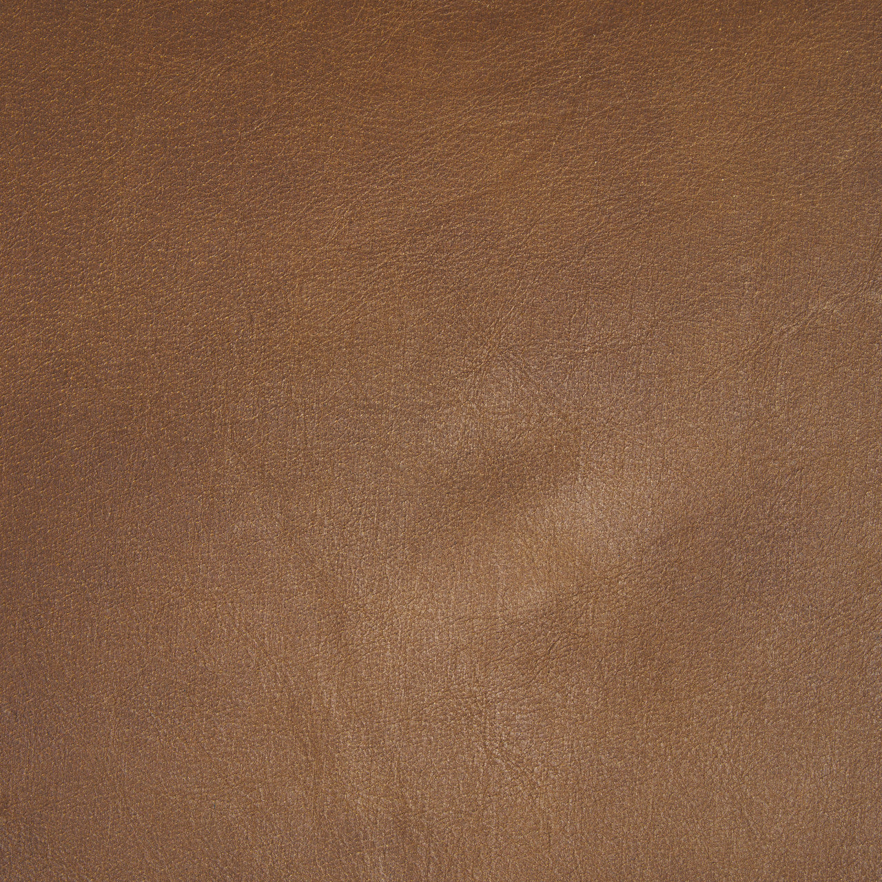 Taniel Brown Leather w/ Black Metal Stool