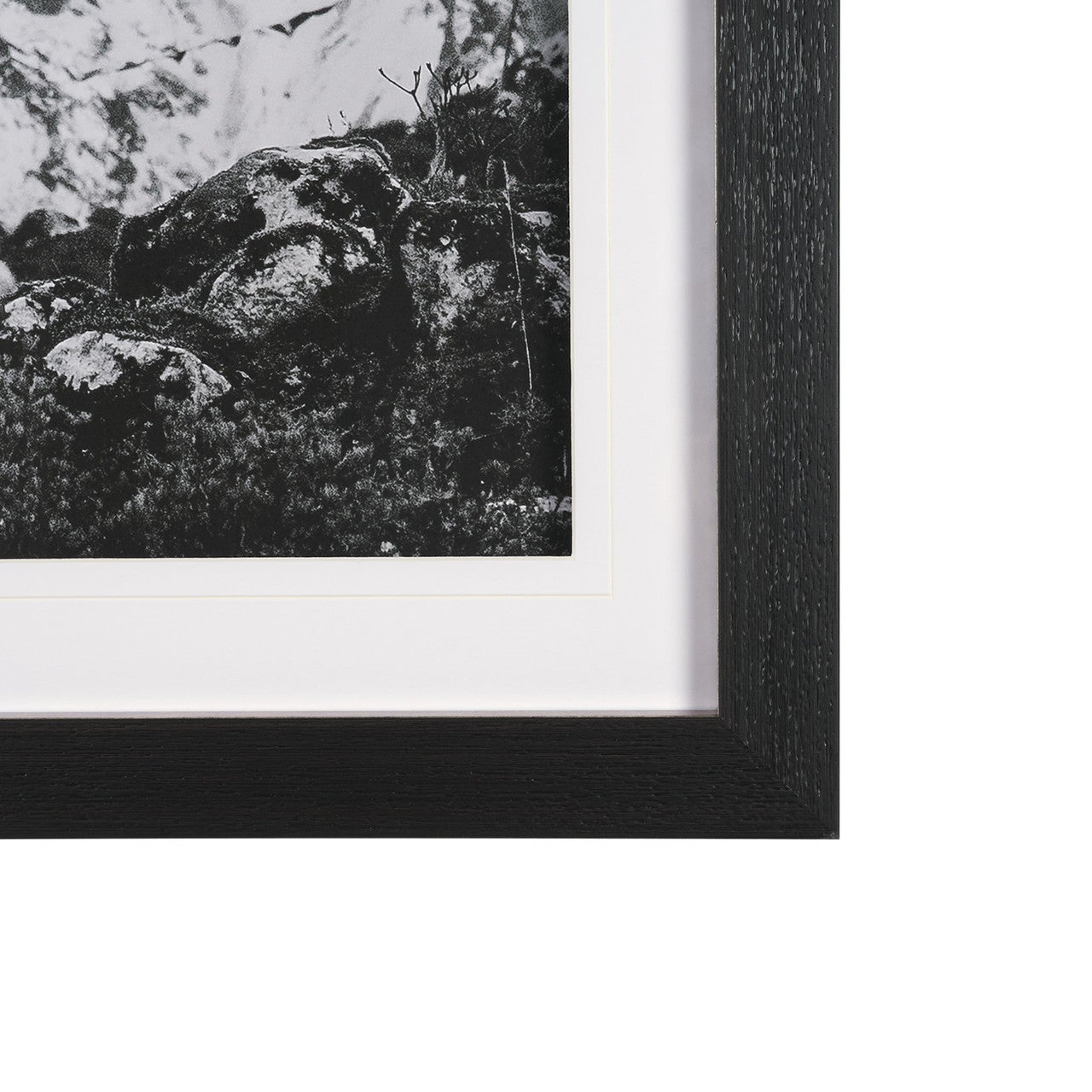 Majestic Mane - Snowscape by Matt Roseveare Framed Art Print Matted under Glass