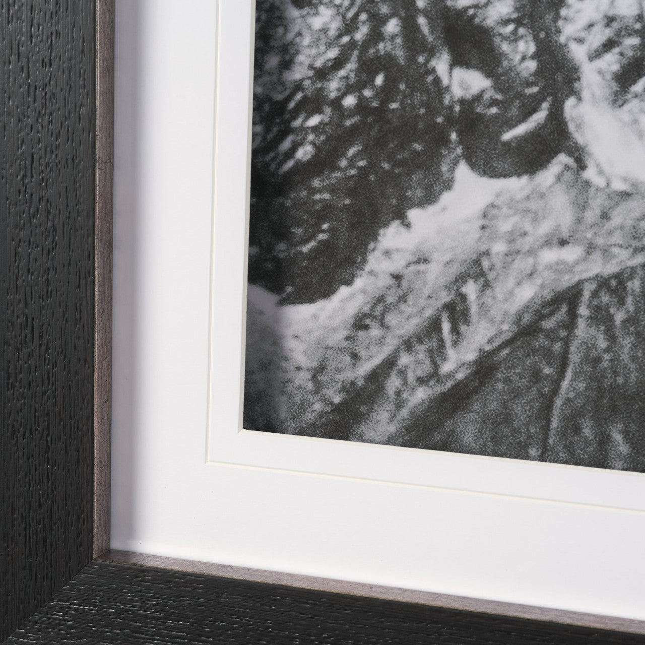 Majestic Mane - Snowscape by Matt Roseveare Framed Art Print Matted under Glass