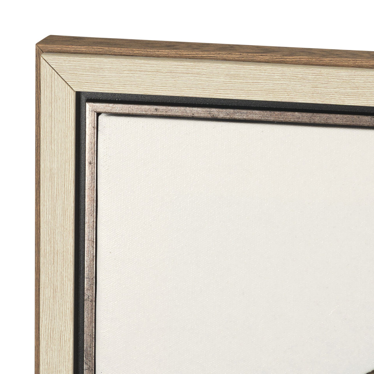 Cornus Alba I by Mercana Studio Hand Embelished Textured Framed Canvas Artwork