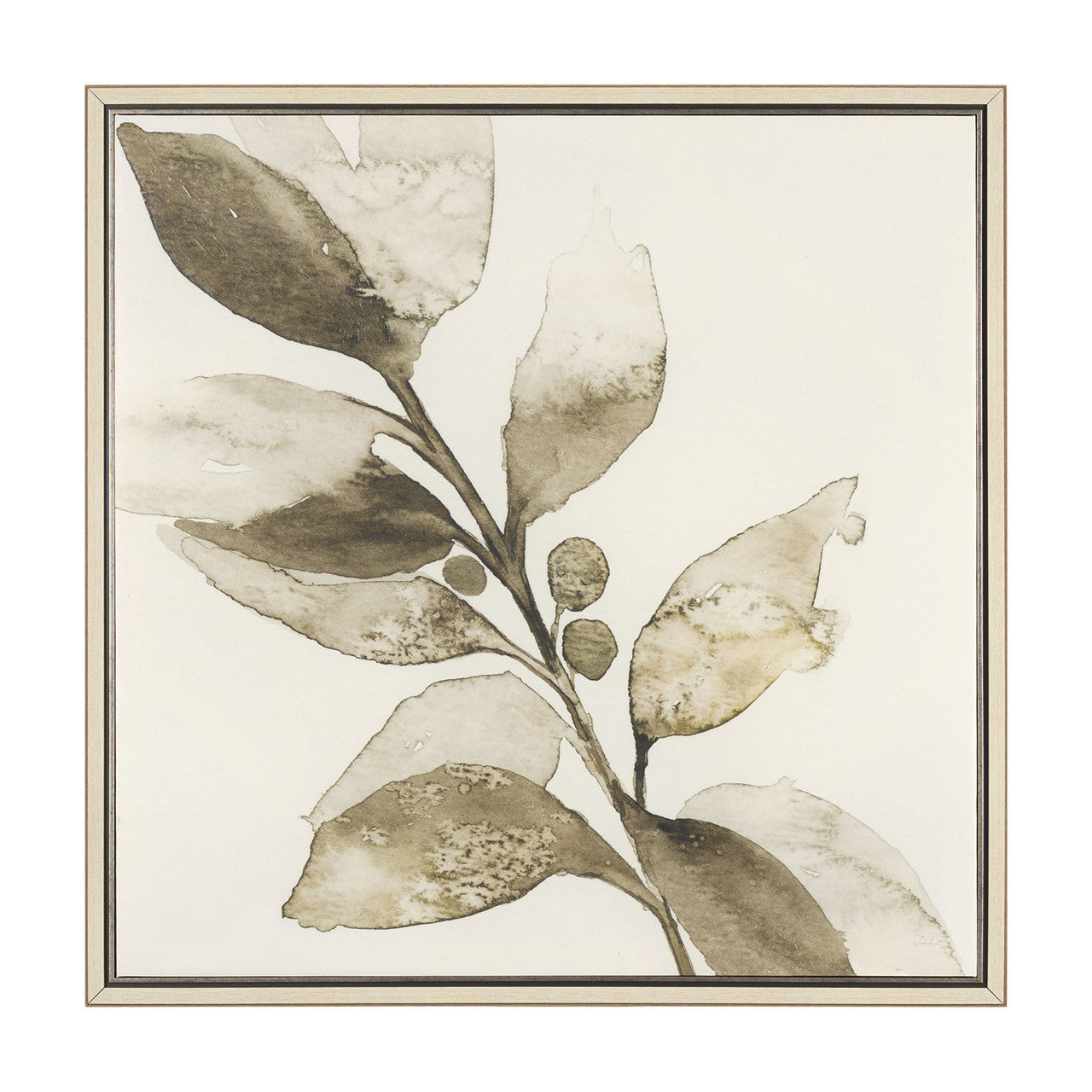 Cornus Alba II by Mercana Studio Hand Embelished Textured Framed Canvas Artwork