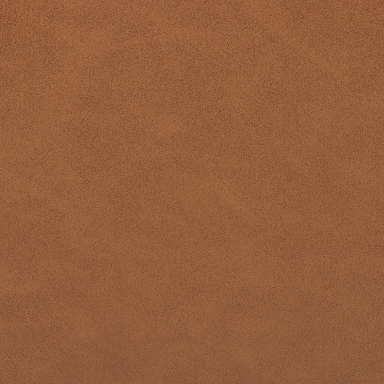 Reuben Sierra Butterscotch Dining Chair