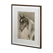 Horse Portrait II by Mercana Studio a Hand Embellished Textured Framed Art Print Matted under Glass by Mercana at ZIN Home