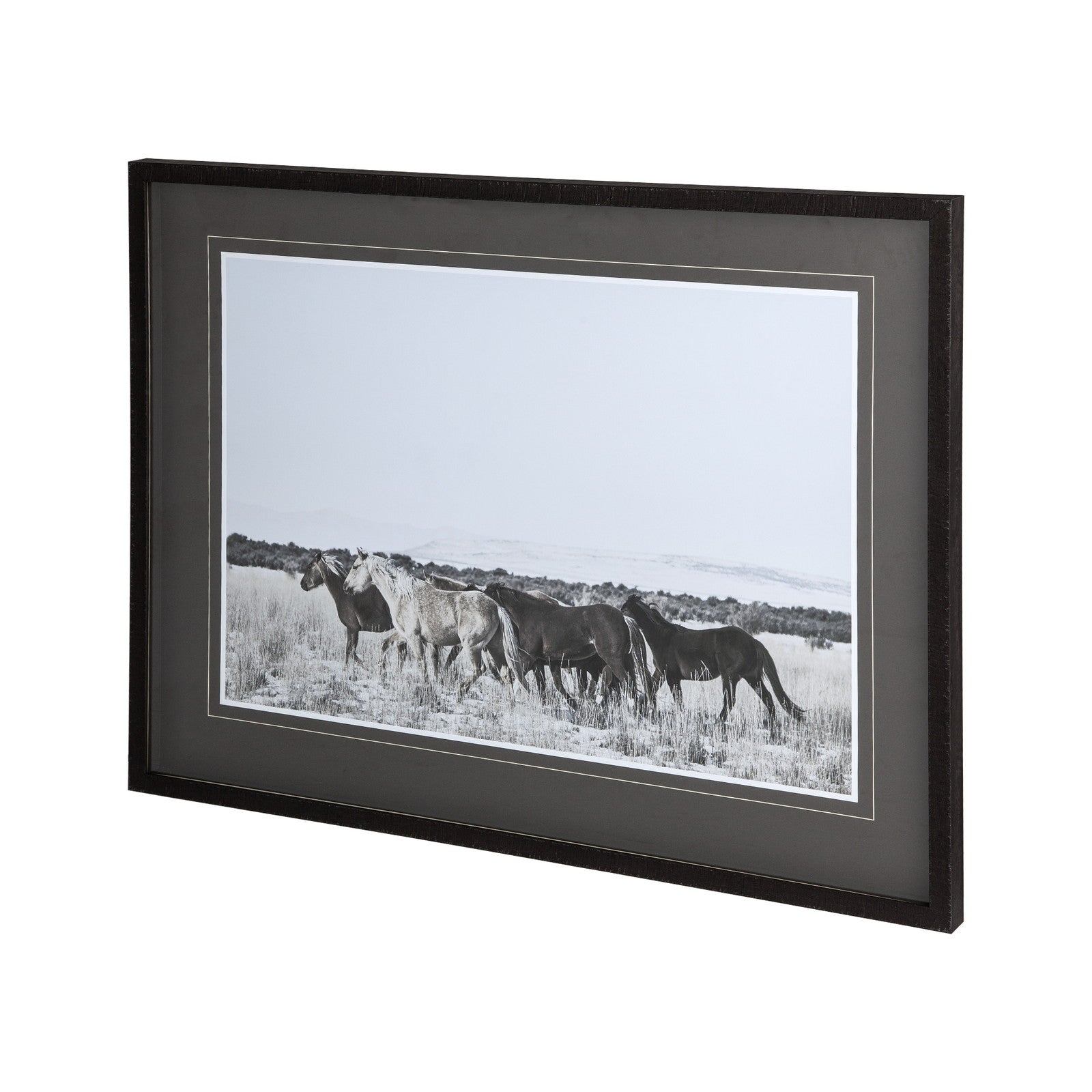 Horse Fort Ranch 12 by Dunker a Framed Photo Art Print Matted under Glass by Mercana at ZIN Home