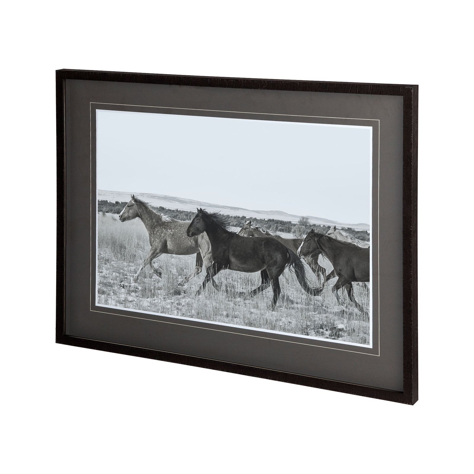 Horse Fort Ranch 14 by Dunker a Framed Photo Art Print Matted under Glass by Mercana at ZIN Home