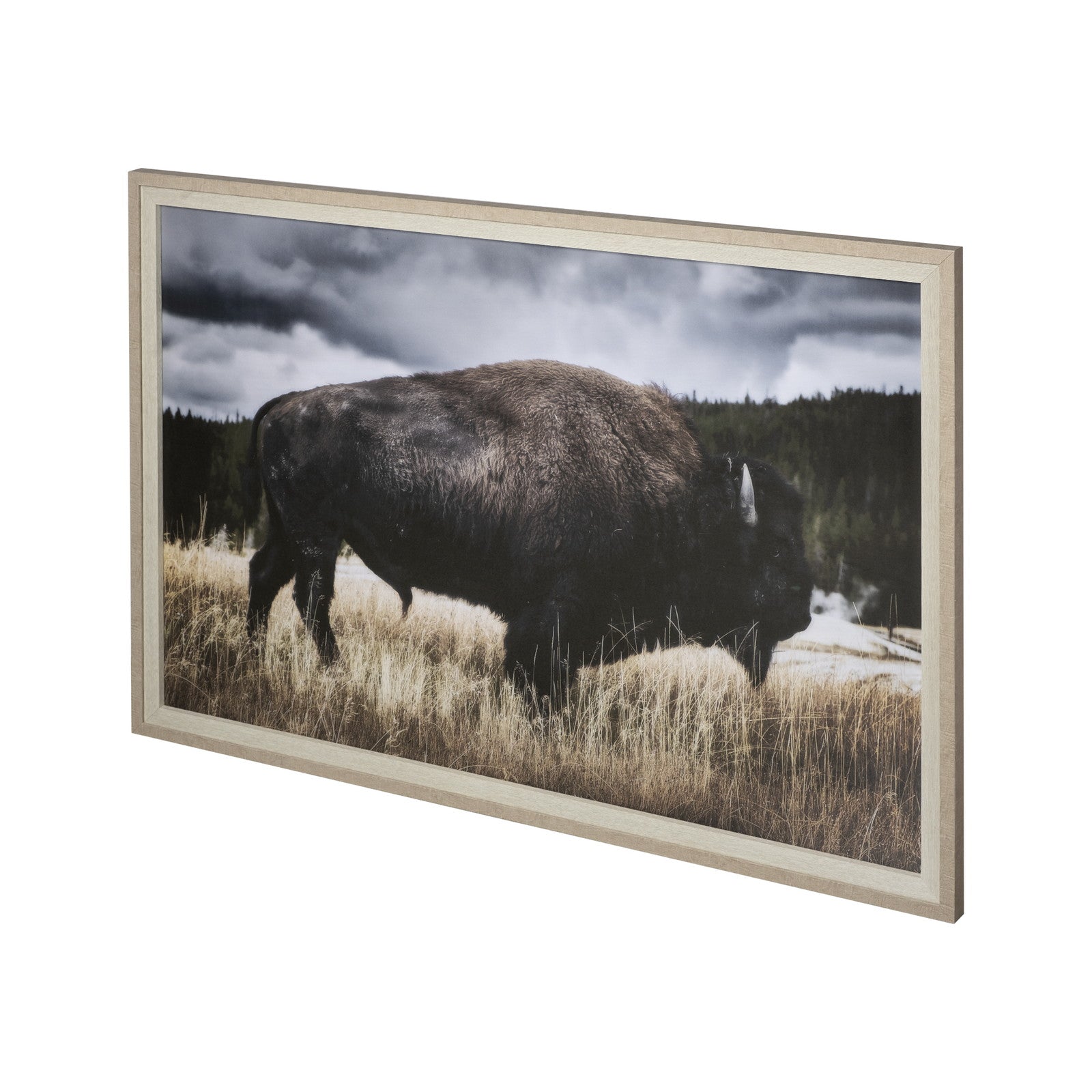 Yellowstone Bison by Dunker a Framed Photo Art Print Matted under Glass by Mercana at ZIN Home