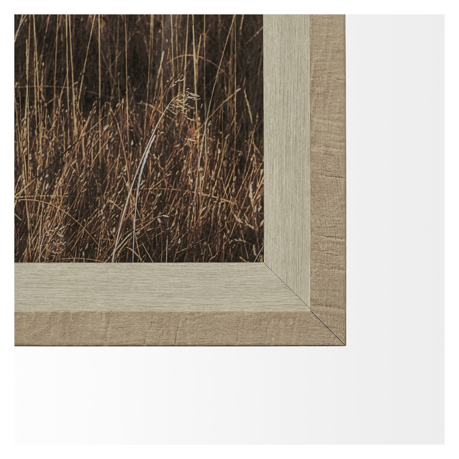 Yellowstone Bison by Dunker a Framed Photo Art Print Matted under Glass by Mercana at ZIN Home