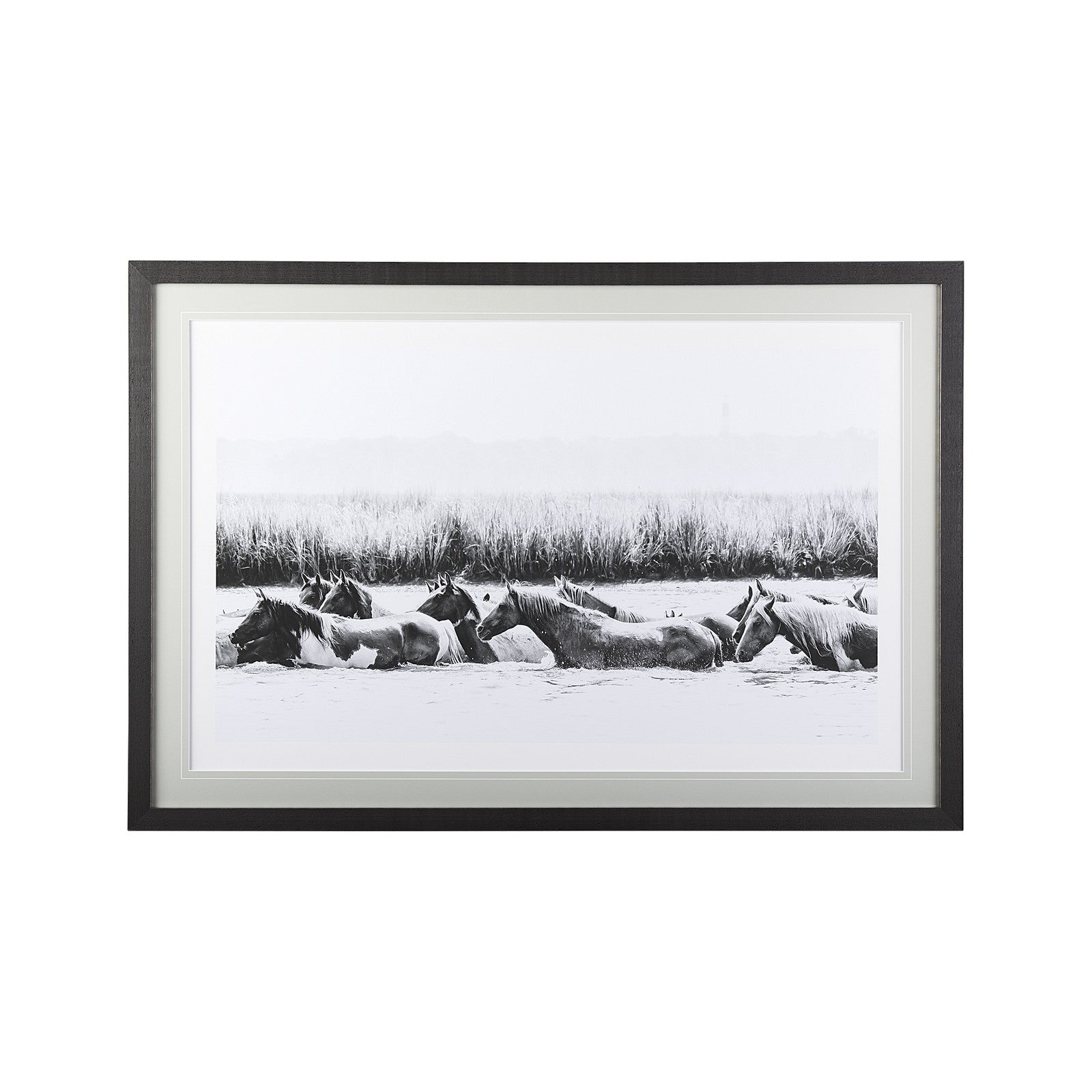 Water Horses III by PHBurchett a Framed Photo Art Print Matted under Glass by Mercana at ZIN Home