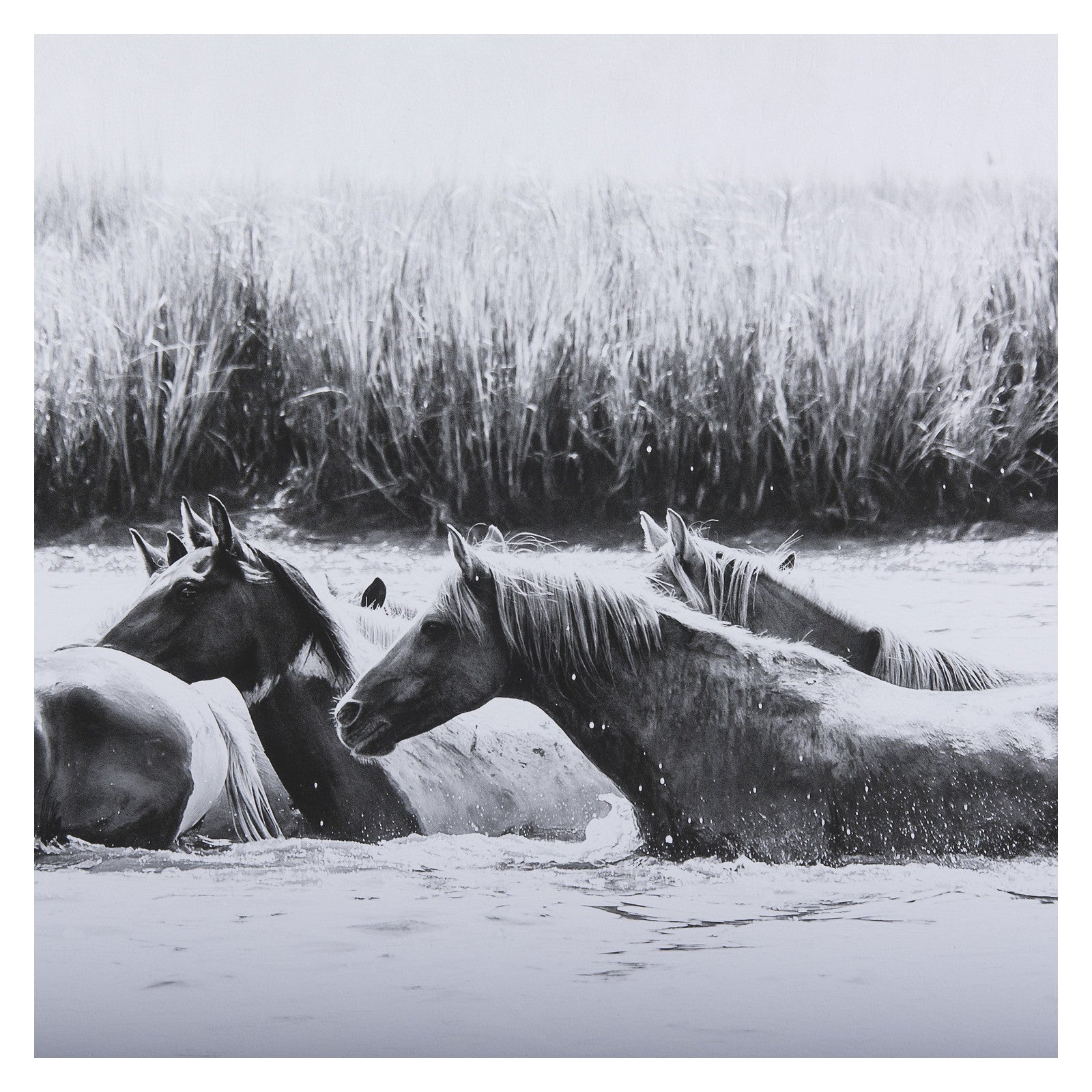 Water Horses III by PHBurchett a Framed Photo Art Print Matted under Glass by Mercana at ZIN Home