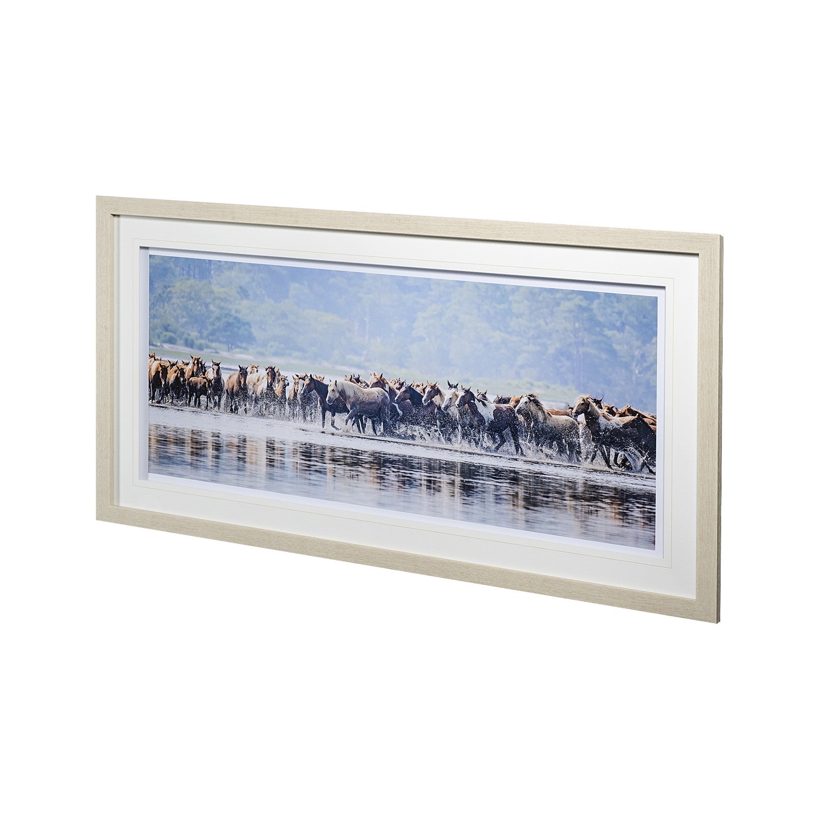 Water Horses II by PHBurchett a Framed Photo Art Print Matted under Glass by Mercana at ZIN Home