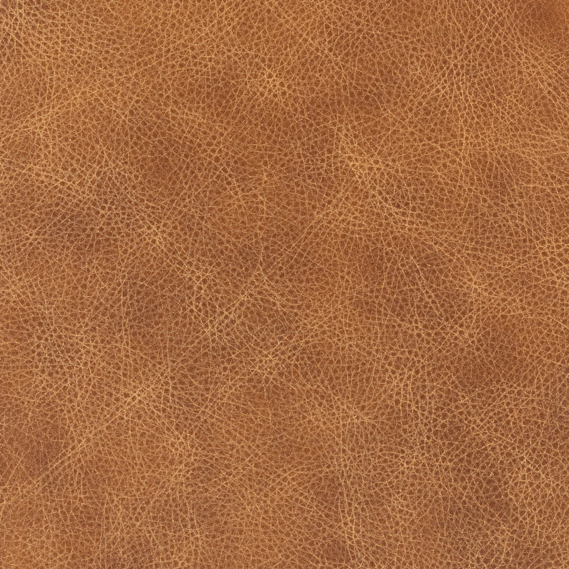 Caplan Ottoman - Bliss-Beige