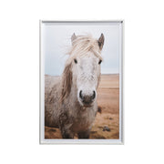 49822 Heida I by Laura Marshall a Framed Photo Art Print Matted under Glass by Mercana at ZIN Home