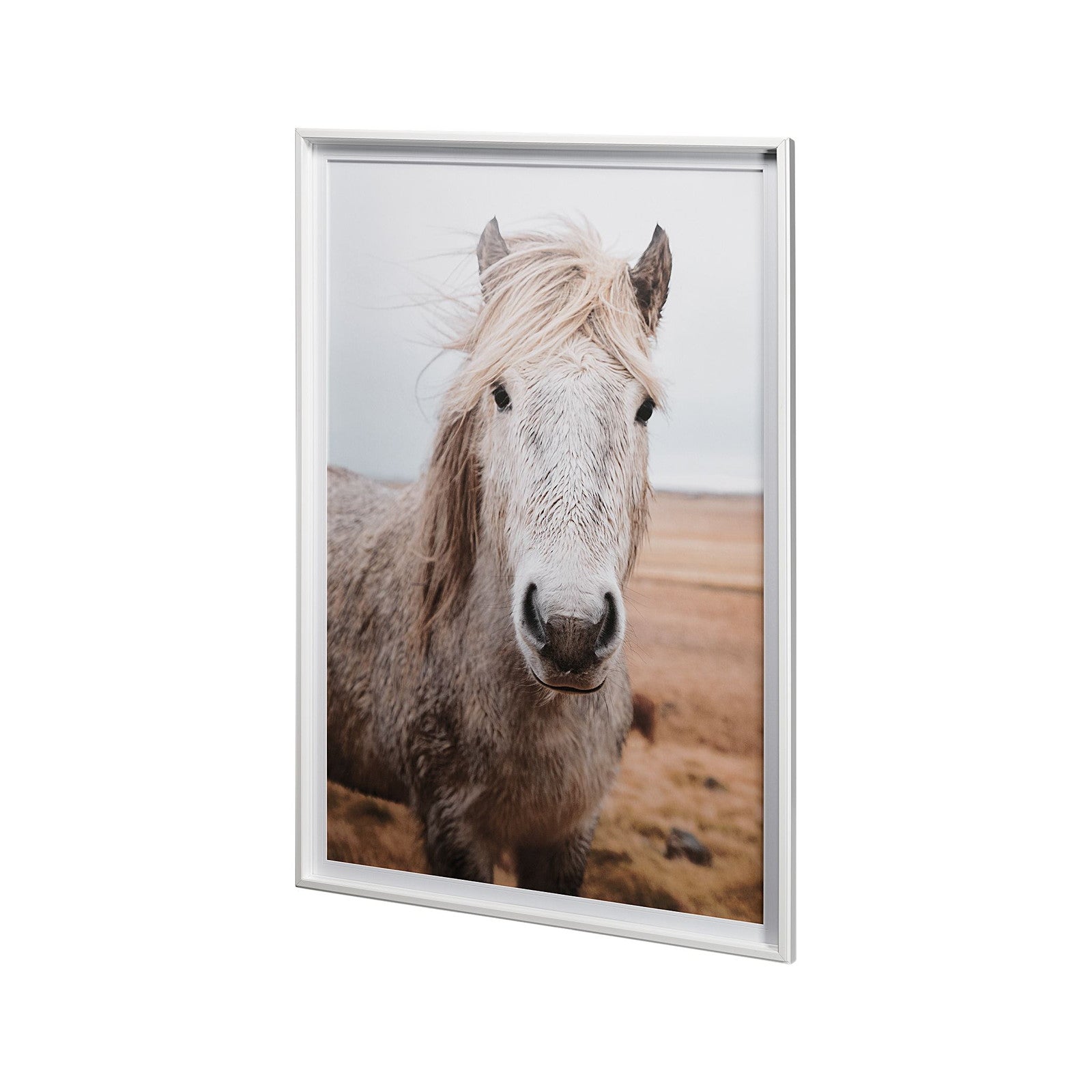 49822 Heida I by Laura Marshall a Framed Photo Art Print Matted under Glass by Mercana at ZIN Home