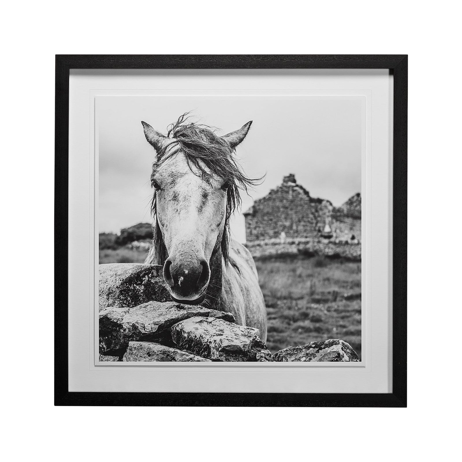 Ireland Black & White by Arabella Studios a Framed Photo Art Print Matted under Glass by Mercana at ZIN Home