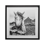 Ireland Black & White by Arabella Studios a Framed Photo Art Print Matted under Glass by Mercana at ZIN Home