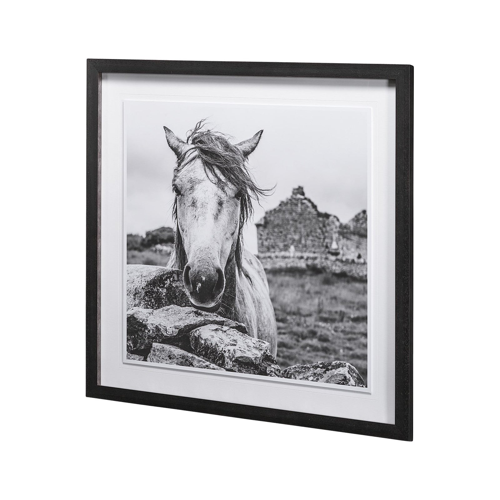 Ireland Black & White by Arabella Studios a Framed Photo Art Print Matted under Glass by Mercana at ZIN Home