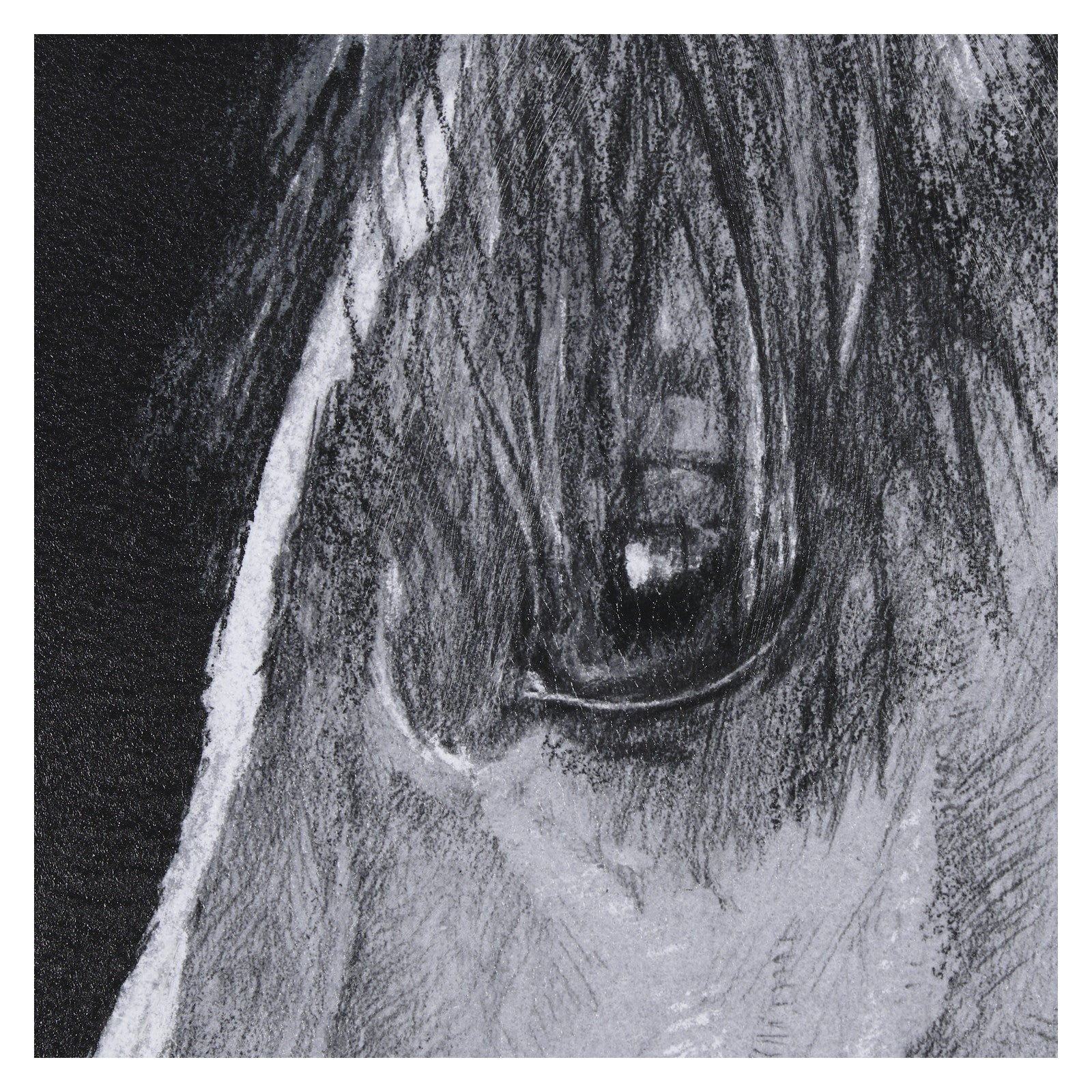 Equestrian Portrait by Mercana Studio Hand Embellished Textured Framed Photo Art Print Matted under by Mercana at ZIN Home
