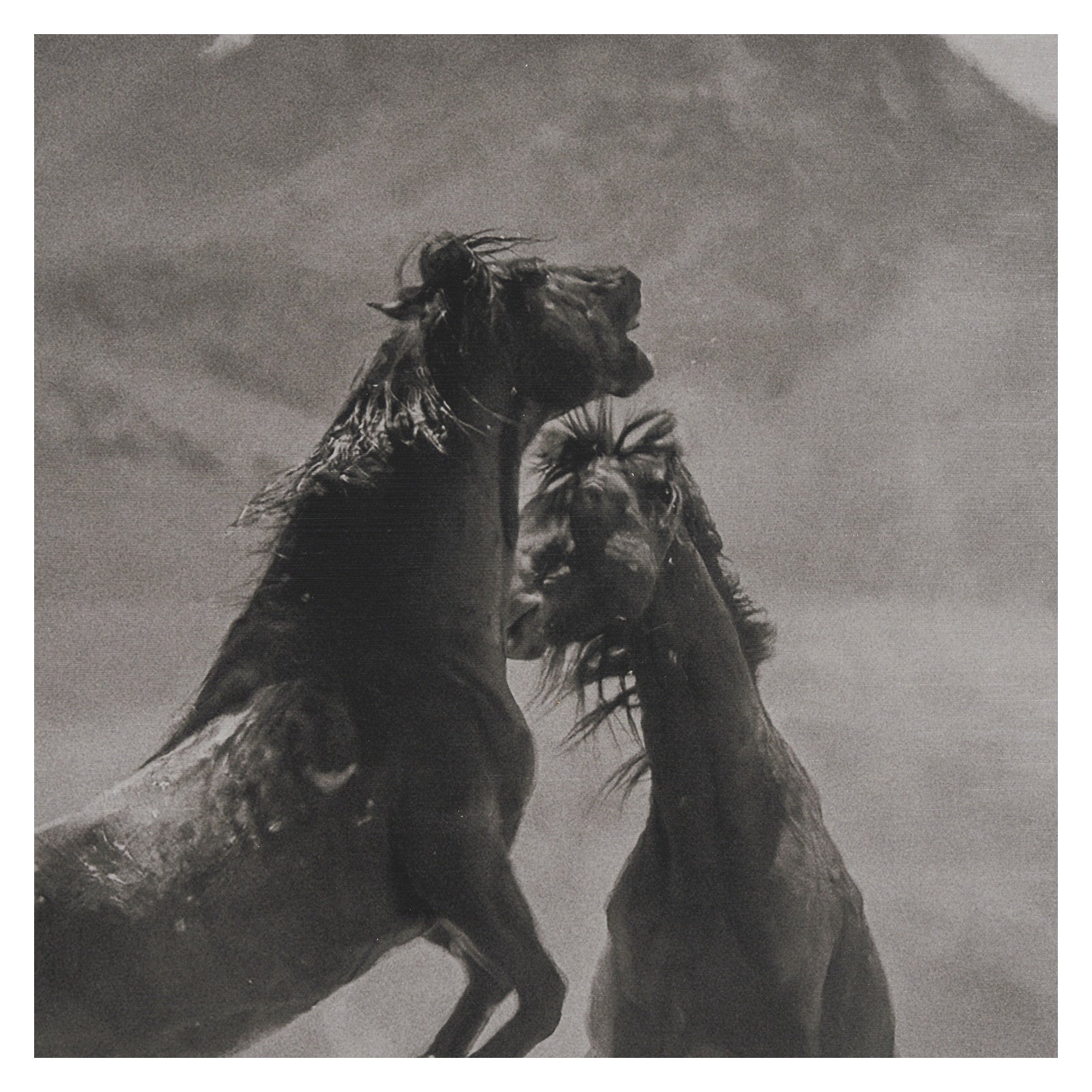 The Meeting by Nancy Crowell a Hand Embellished Framed Photo Art Print Matted under Glass by Mercana at ZIN Home