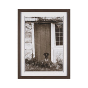 I am Home by Jim Dratfield a Framed Photo Print Matted Under Glass by Mercana at ZIN Home