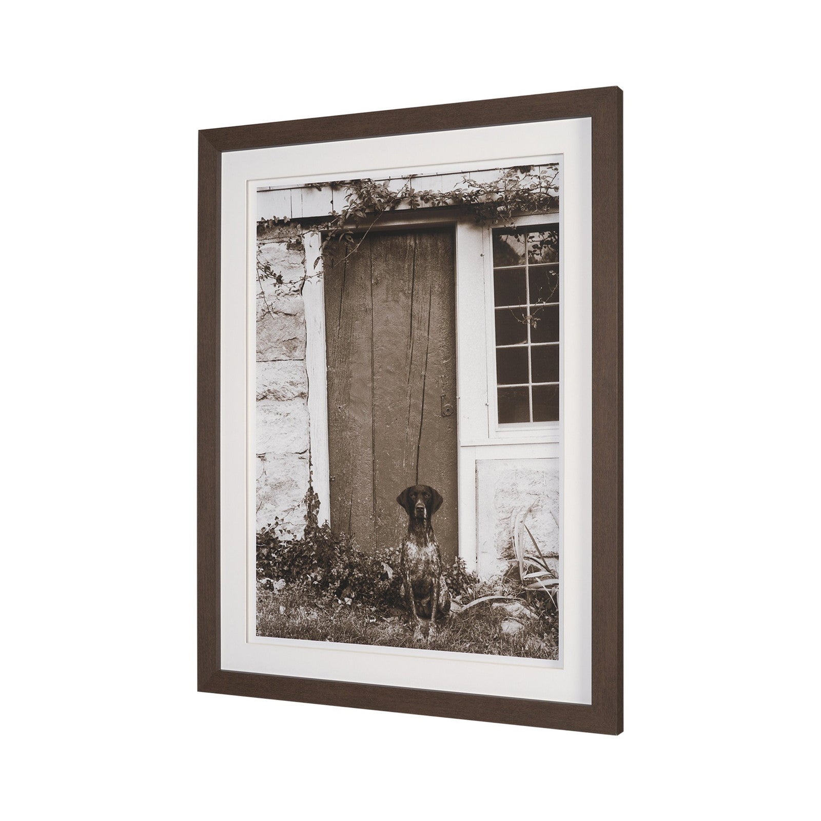 I am Home by Jim Dratfield a Framed Photo Print Matted Under Glass by Mercana at ZIN Home