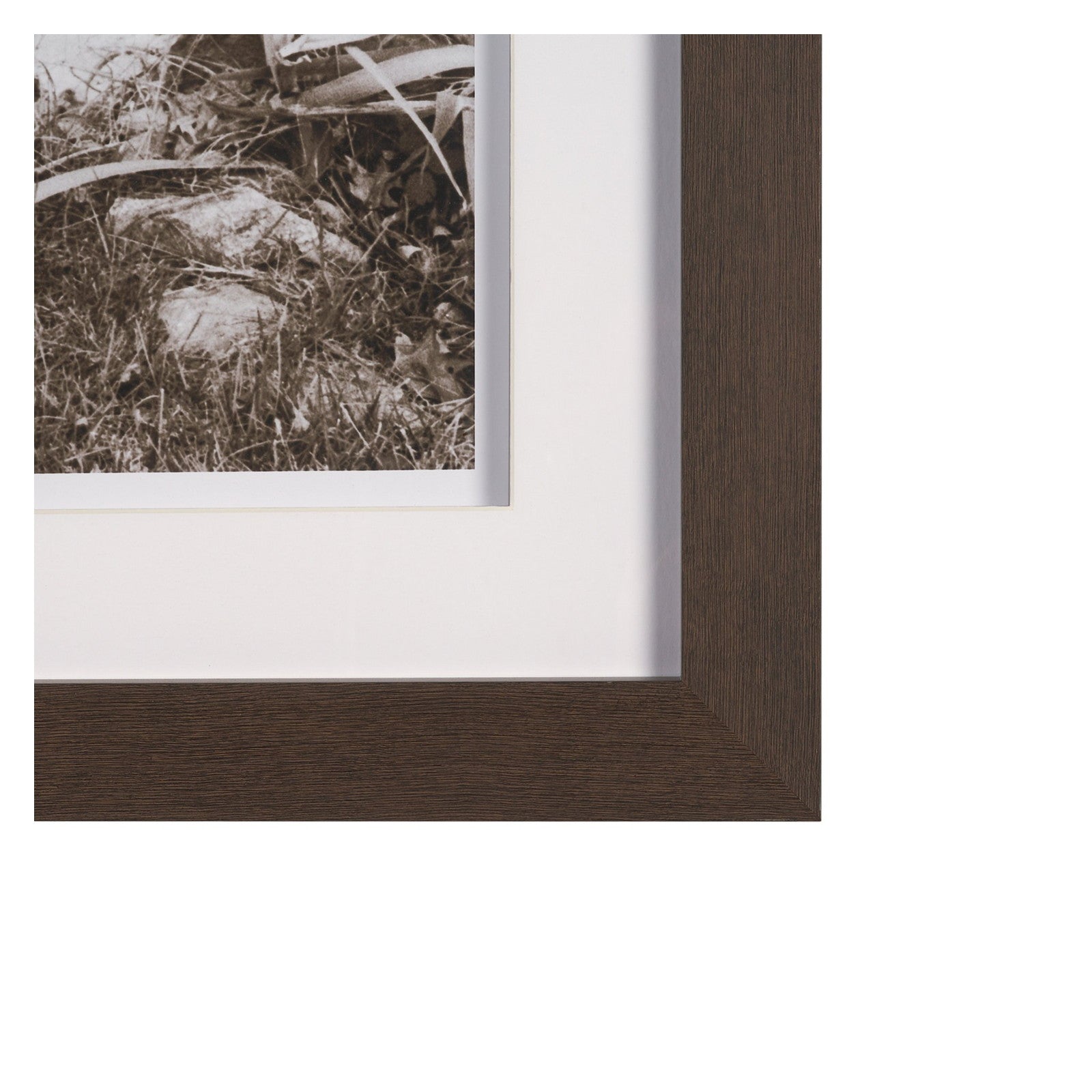 I am Home by Jim Dratfield a Framed Photo Print Matted Under Glass by Mercana at ZIN Home