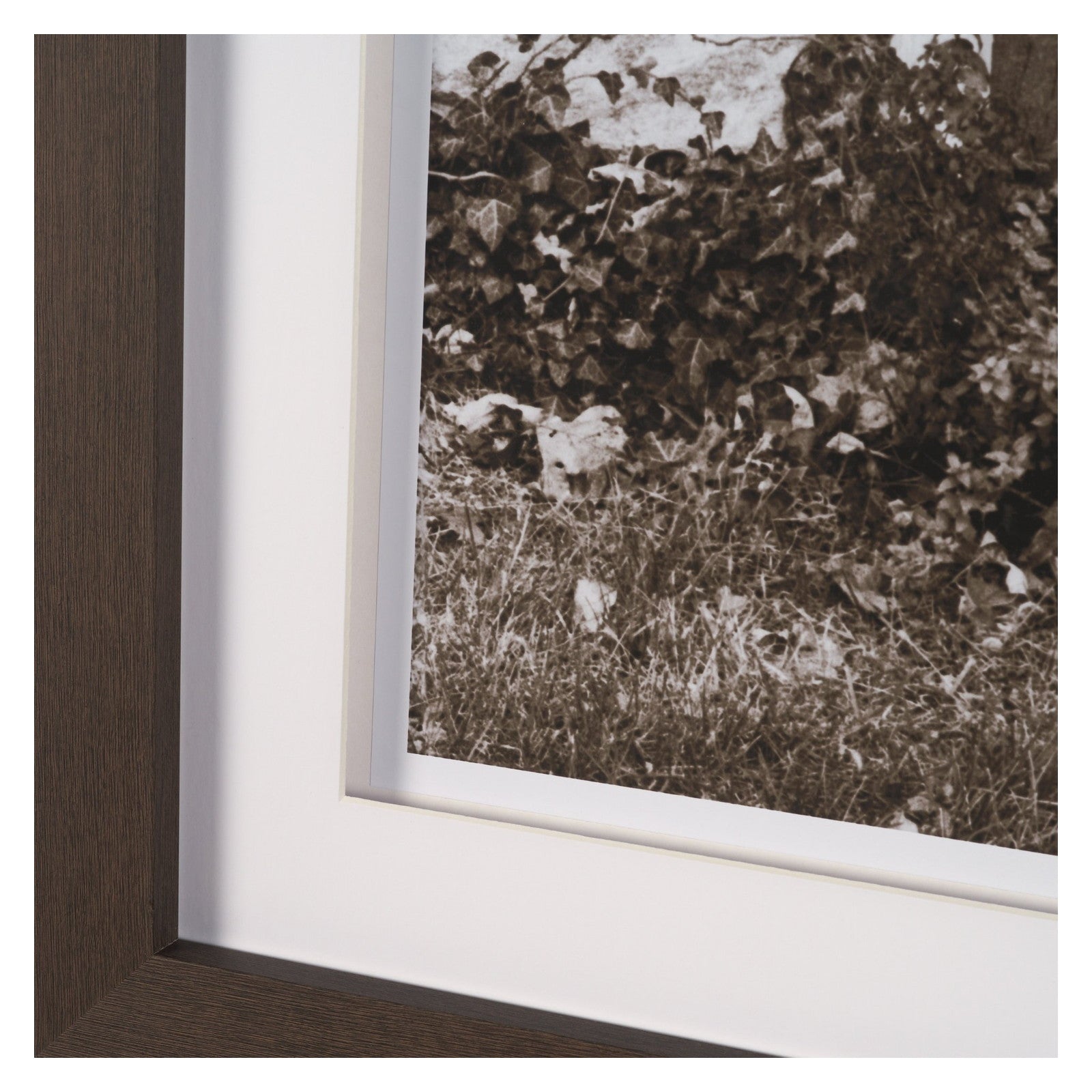 I am Home by Jim Dratfield a Framed Photo Print Matted Under Glass by Mercana at ZIN Home