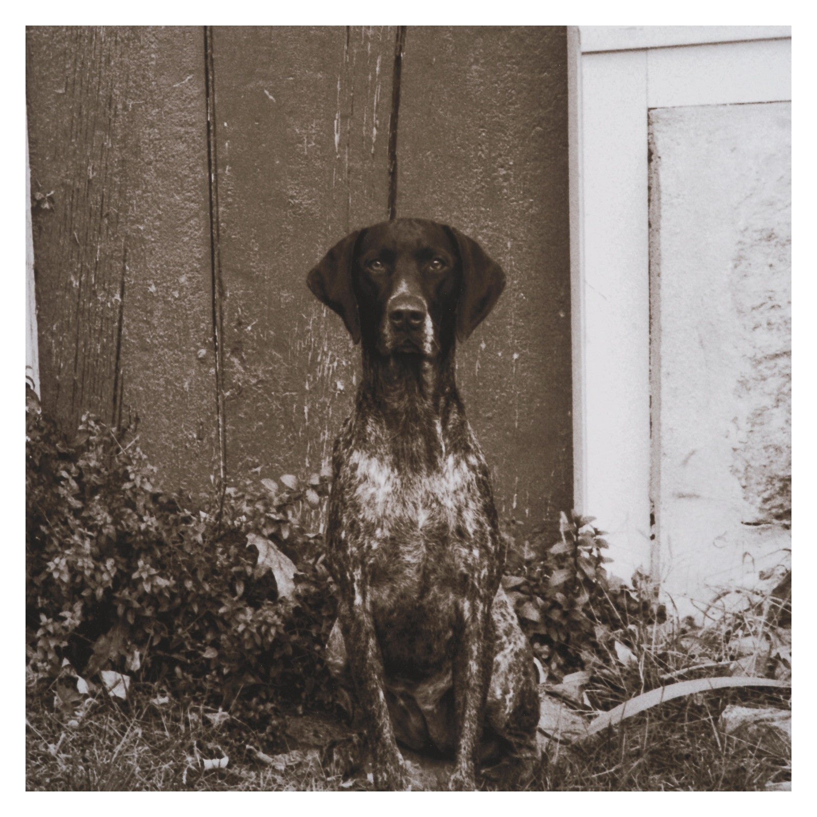 I am Home by Jim Dratfield a Framed Photo Print Matted Under Glass by Mercana at ZIN Home