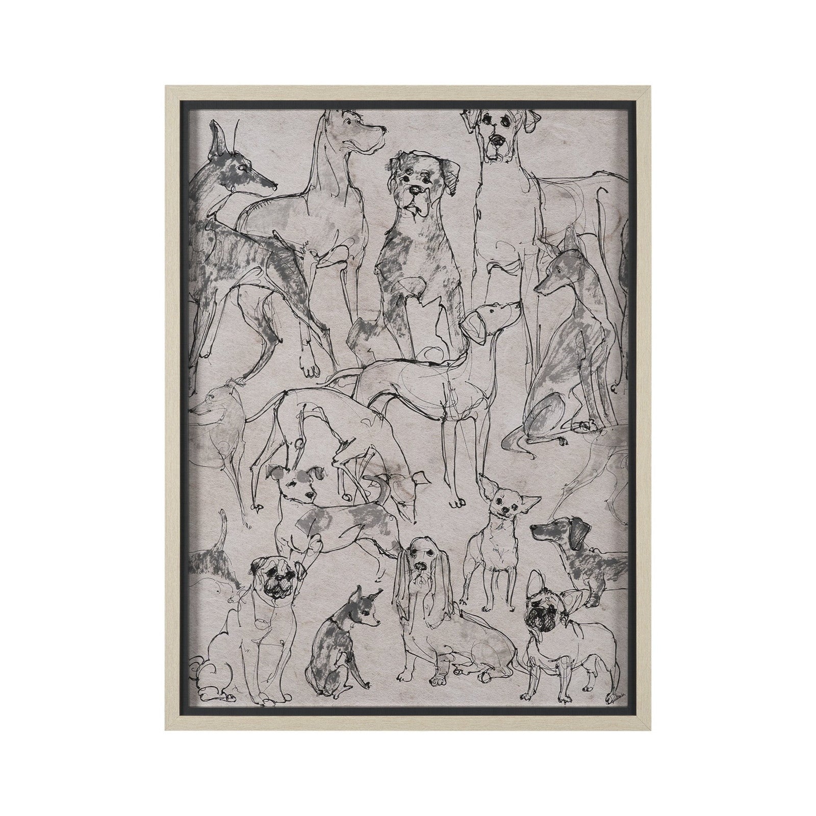 Dog Sketches II by Mercana Studio Hand Embelished Framed Artwork Matted under Glass by Mercana at ZIN Home