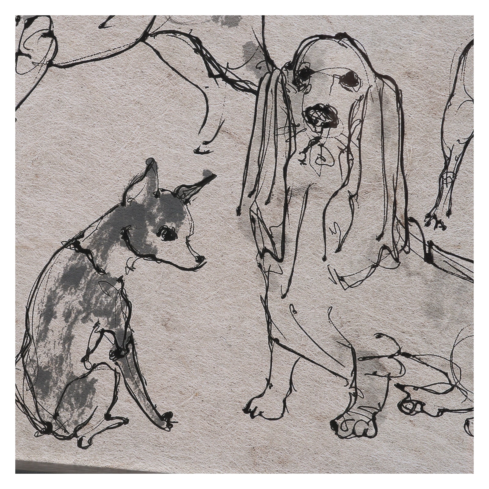 Dog Sketches II by Mercana Studio Hand Embelished Framed Artwork Matted under Glass by Mercana at ZIN Home