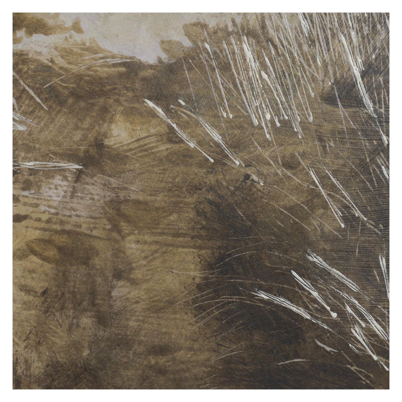 Timeless Vista II by Mercana Studio Textured Framed Artwork Matted under Glass by Mercana at ZIN Home