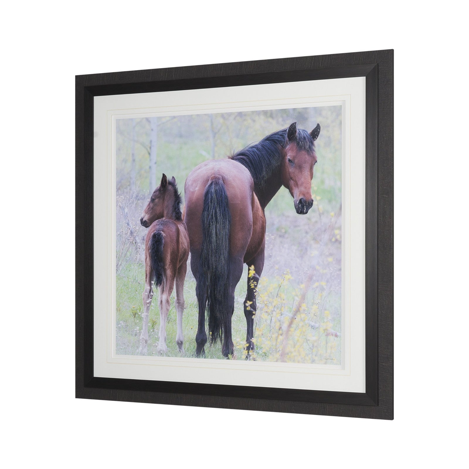 A Watchful Bond by Chad Mackay Hand Embelished Framed Art Print Matted under Glass by Mercana at ZIN Home