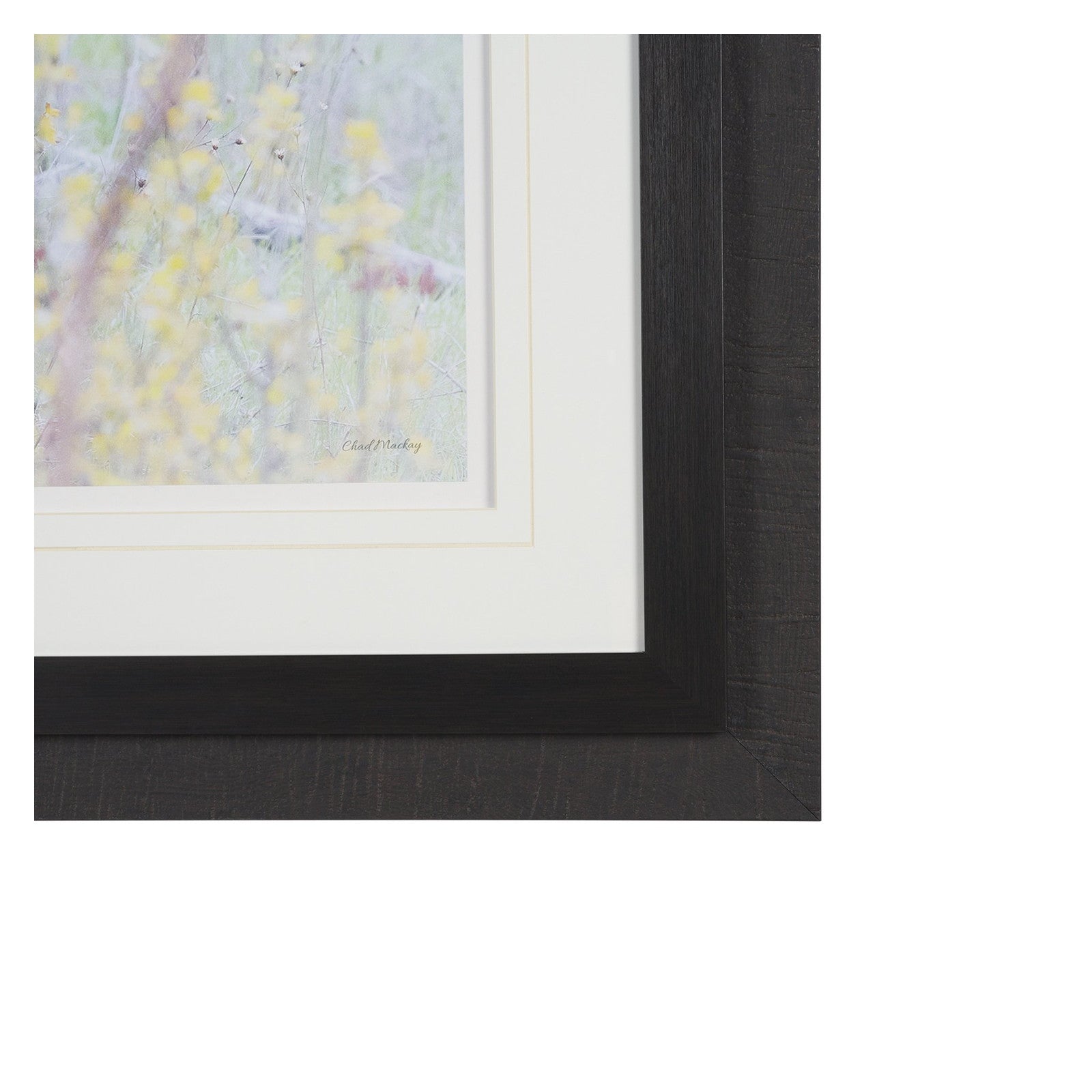 A Watchful Bond by Chad Mackay Hand Embelished Framed Art Print Matted under Glass by Mercana at ZIN Home