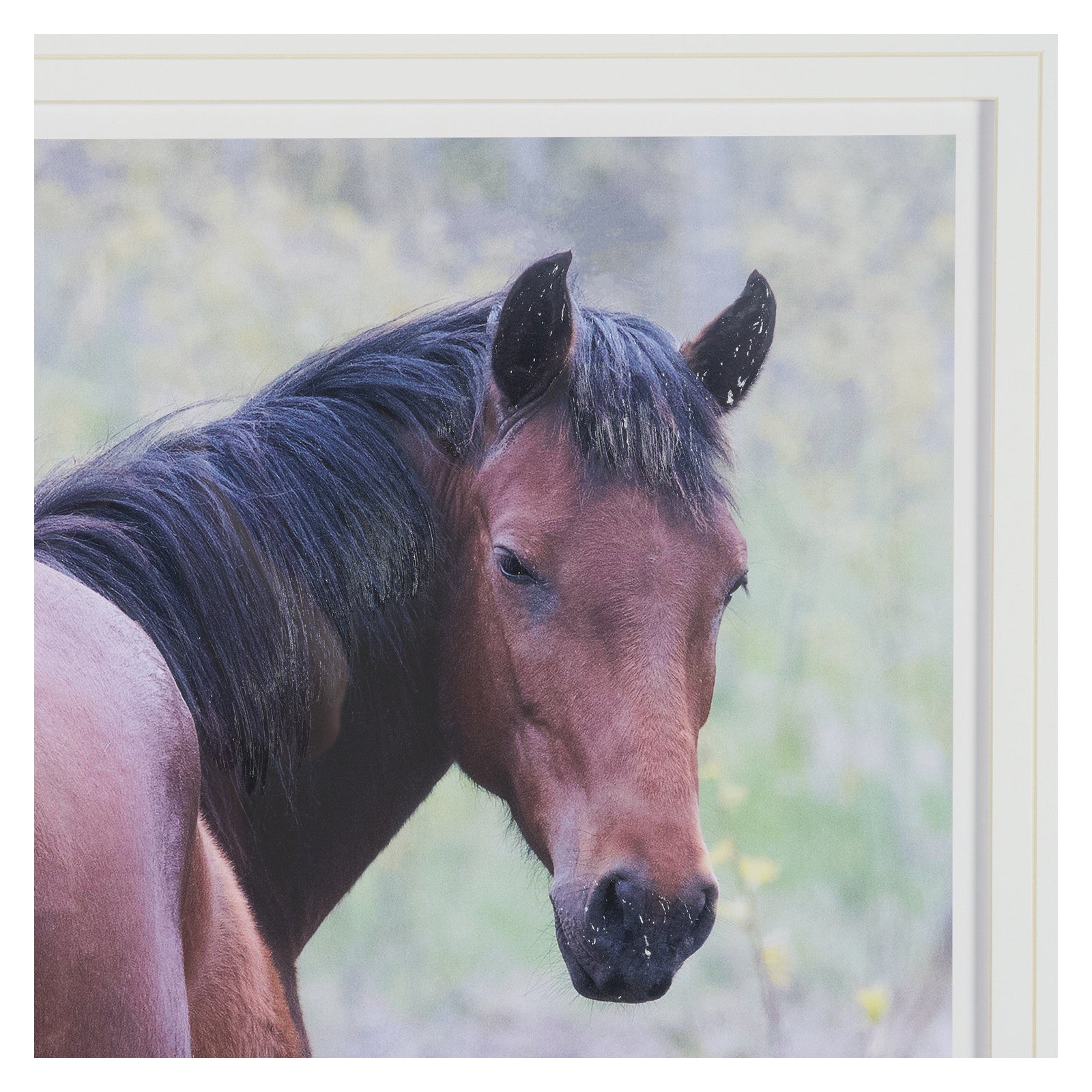 A Watchful Bond by Chad Mackay Hand Embelished Framed Art Print Matted under Glass by Mercana at ZIN Home