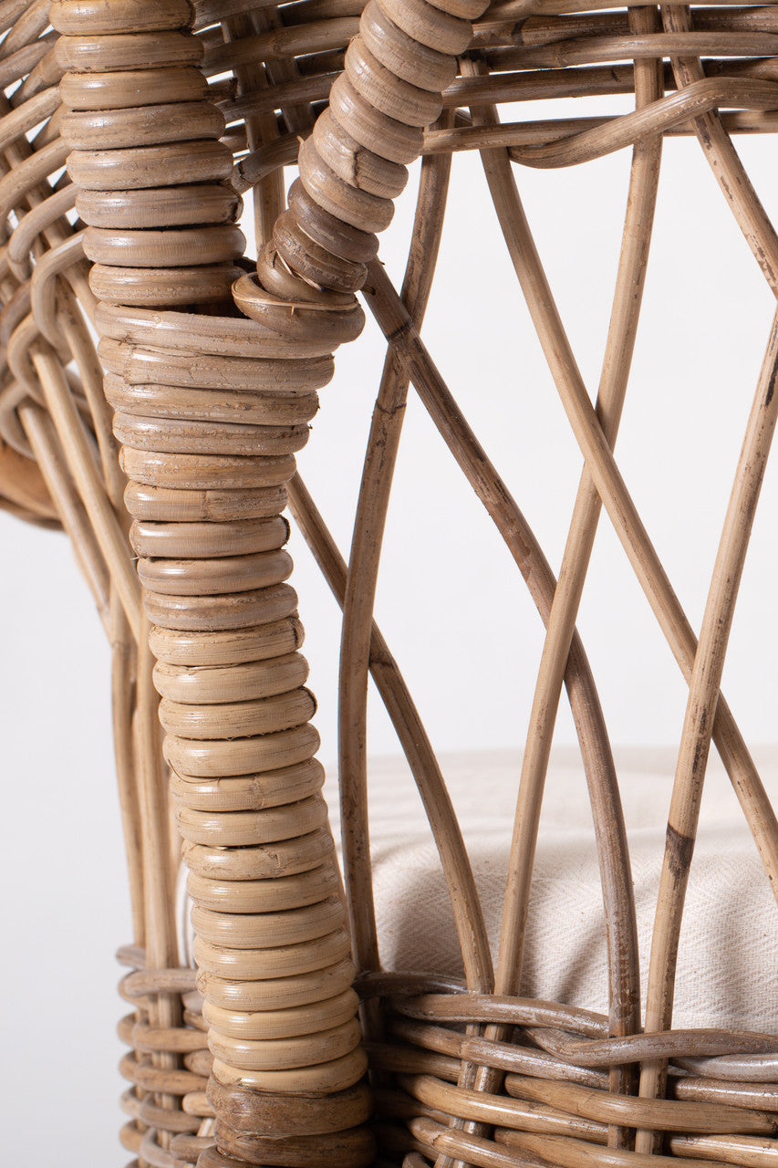 Coastal Wicker Monarch Chair (Set of 2) 27"