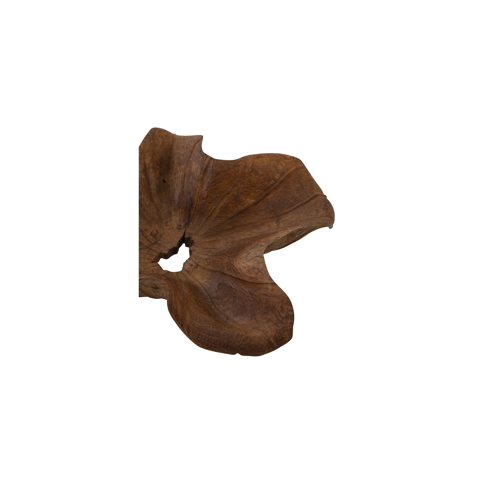 All Teak Bowl detail view by Furniture Classics at ZIN Home