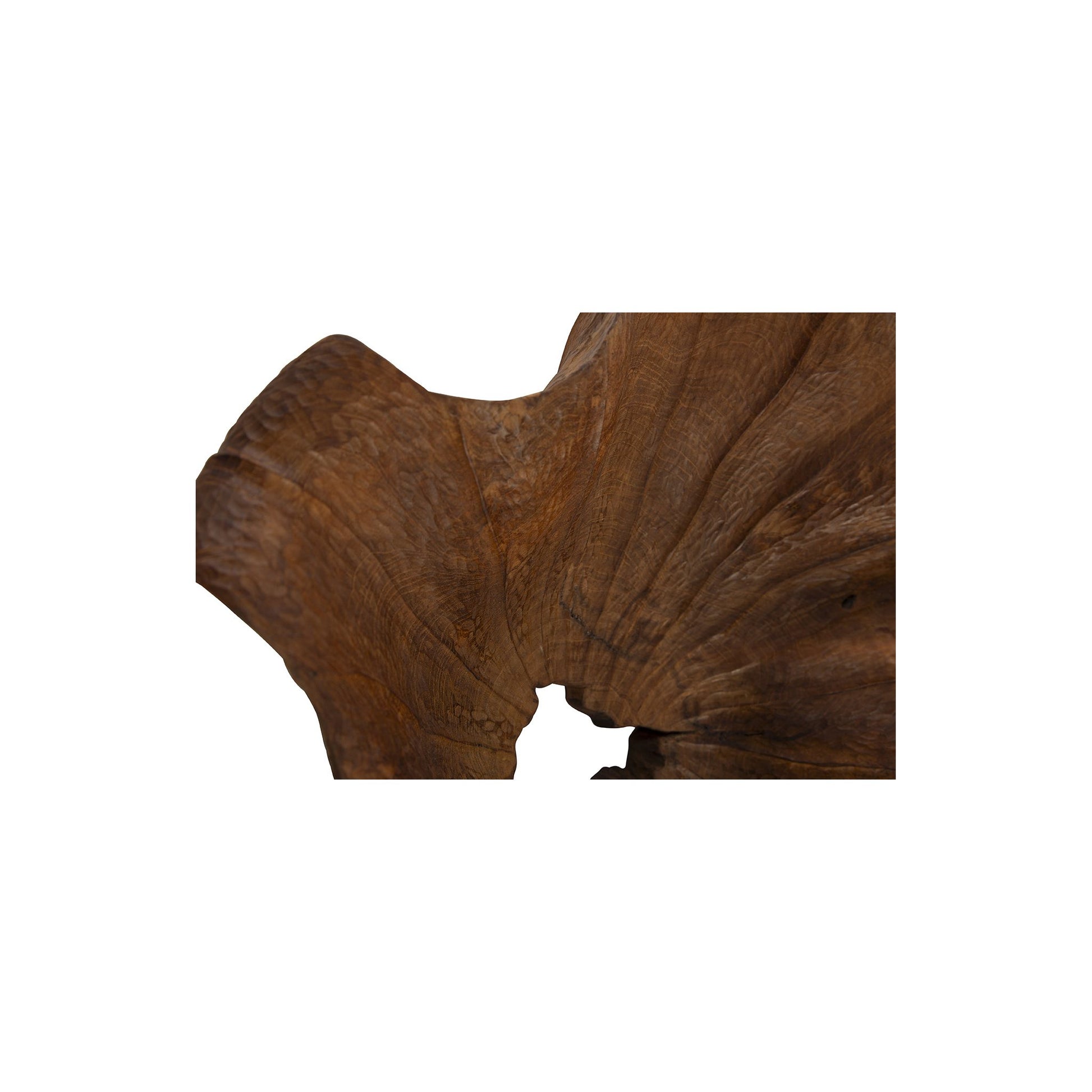 All Teak Bowl detail view by Furniture Classics at ZIN Home