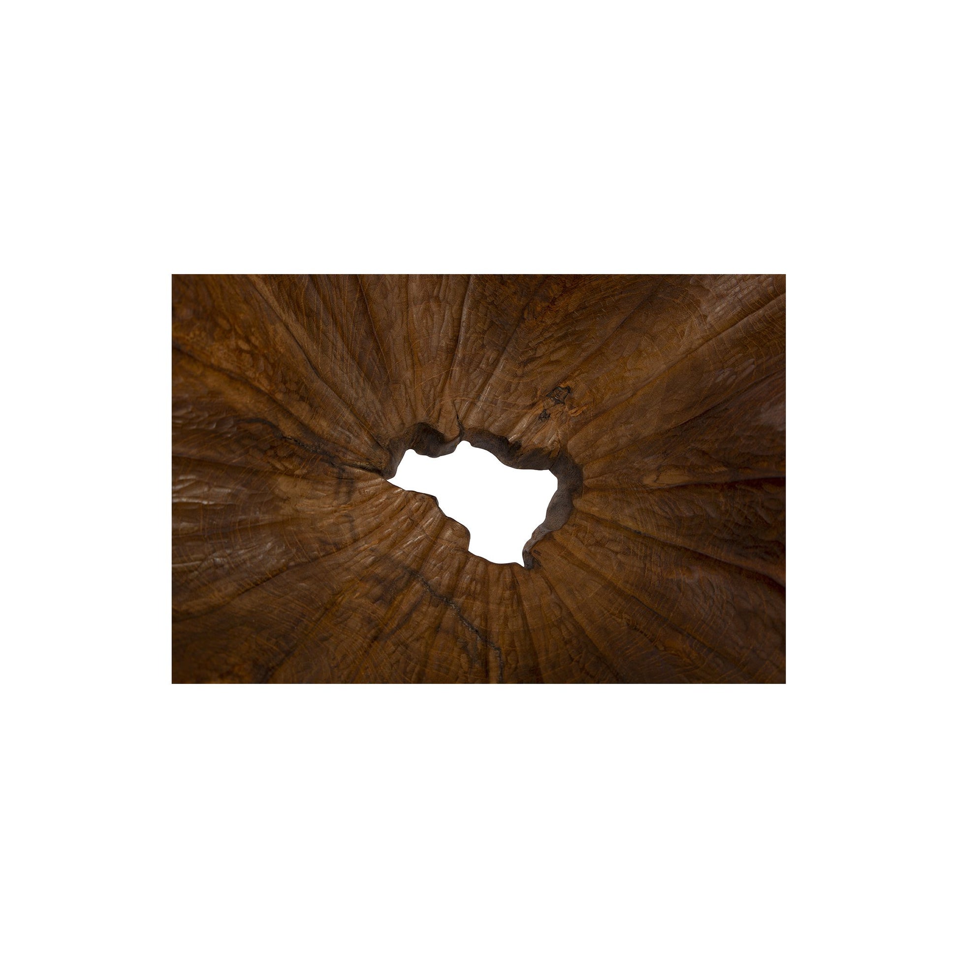All Teak Bowl detail view by Furniture Classics at ZIN Home