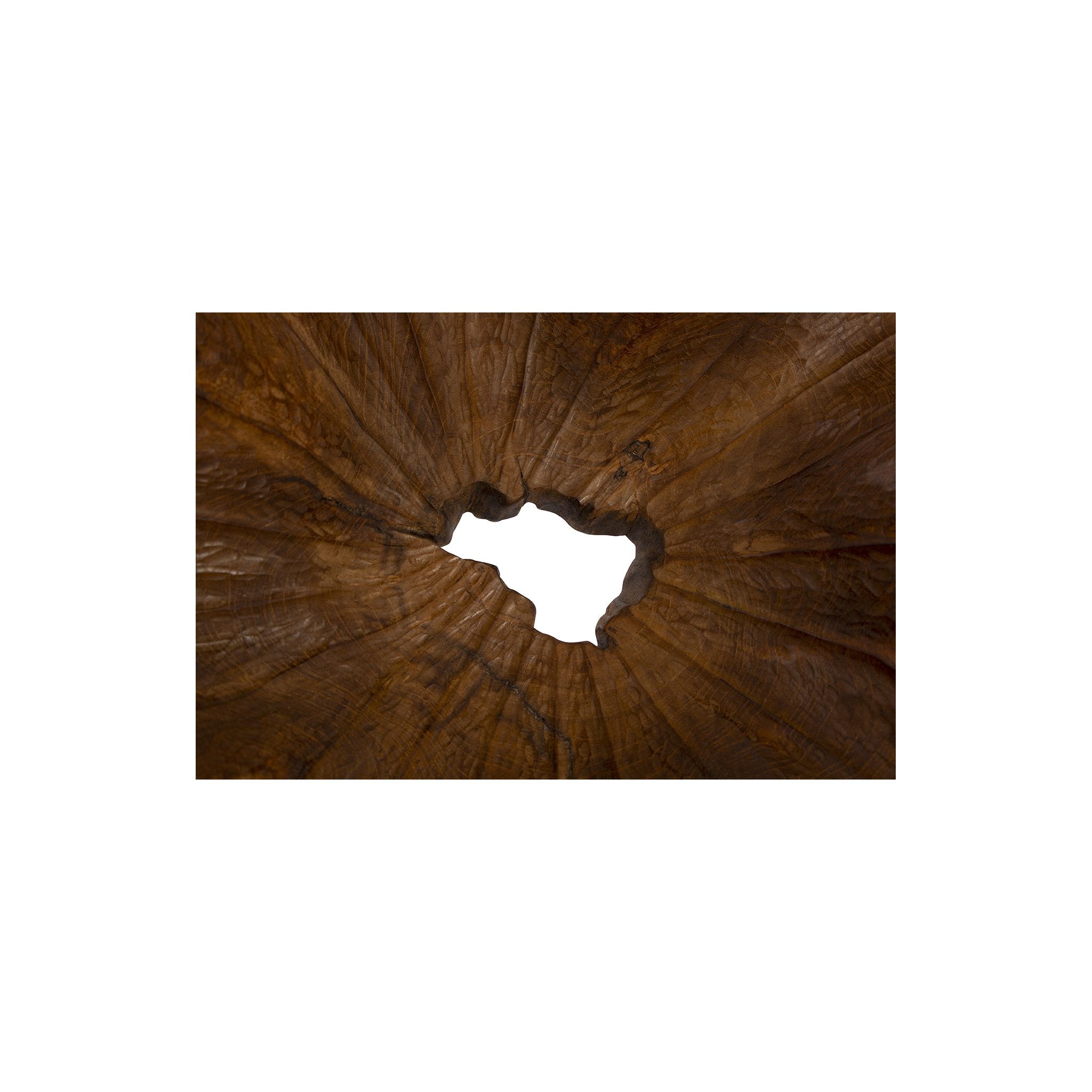 All Teak Bowl detail view by Furniture Classics at ZIN Home